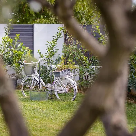 Pet Friendly In With Jacuzzi Holiday home *